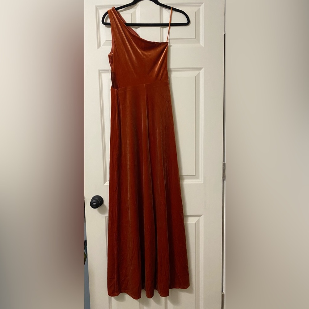 Birdy grey velvet burnt orange dress